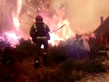 Bombero en un incendio de Galicia Bombero en un incendio de Galicia