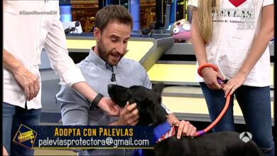 Celebramos el Día internacional del perro adoptado con algunos de los perretes que han pasado por 'El Hormiguero'