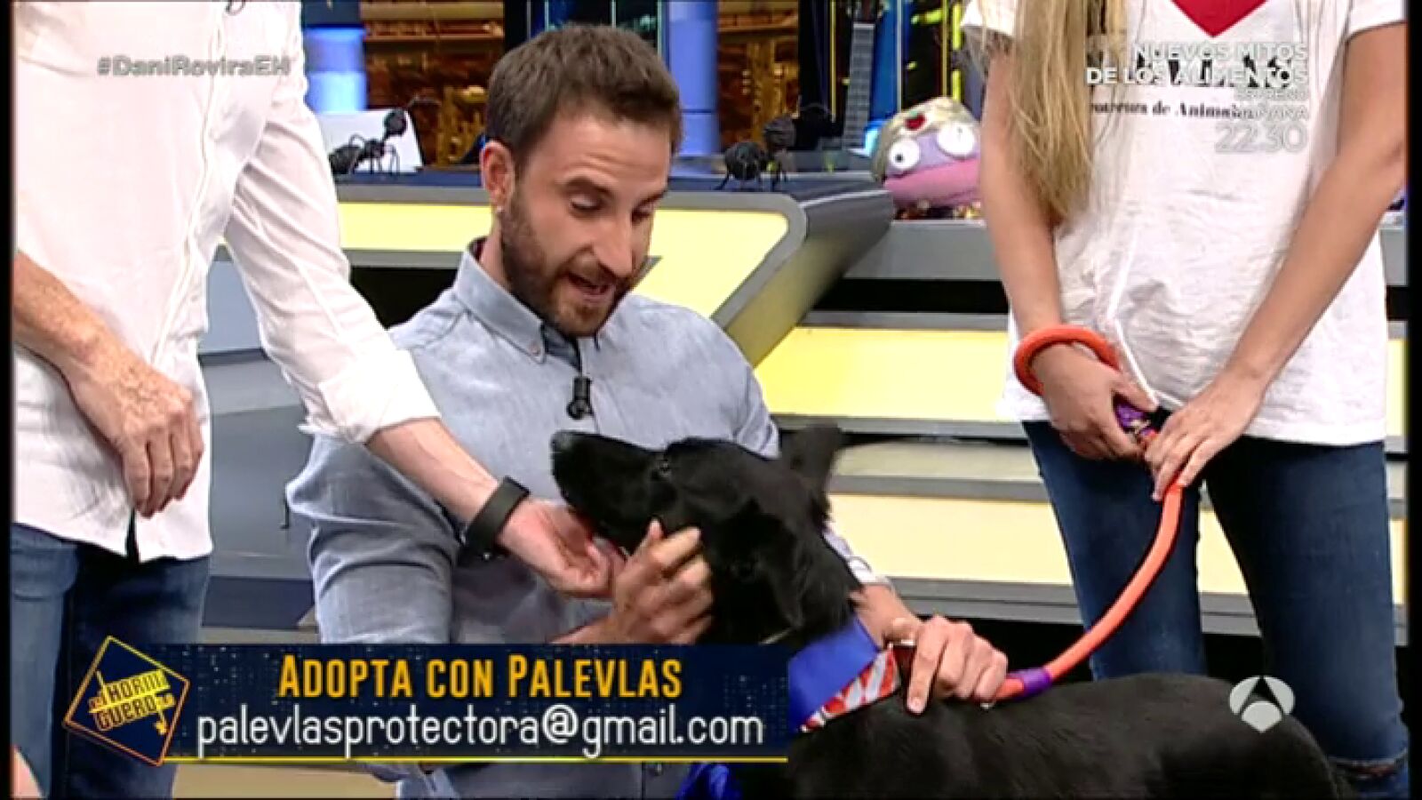 Celebramos el Día internacional del perro adoptado con algunos de los perretes que han pasado por 'El Hormiguero'