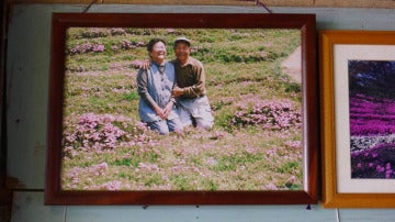 La pareja luce feliz en su gran campo de flores