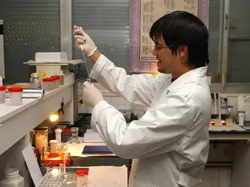 Inseminación artificial Inseminación artificial