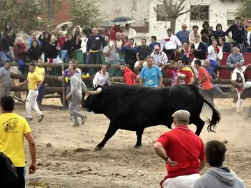 Fiestas del Toro de la Vega Fiestas del Toro de la Vega