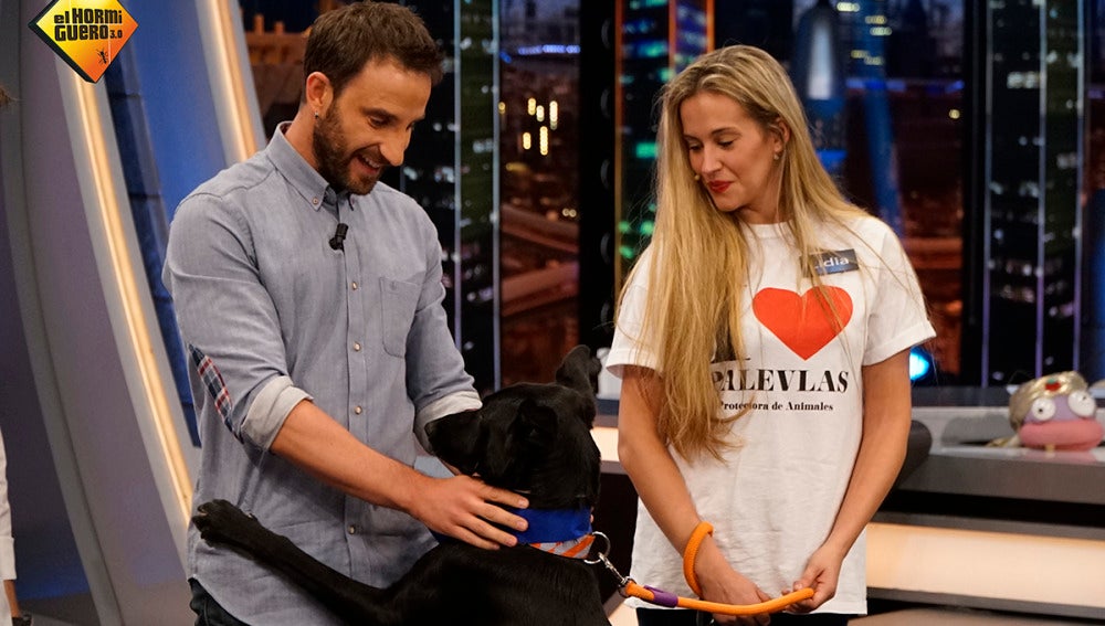 Dani Rovira adopta a uno de los perretes de 'El Hormiguero 3.0'