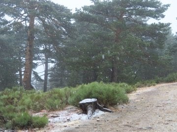 Nieve en septiembre en Navacerrada