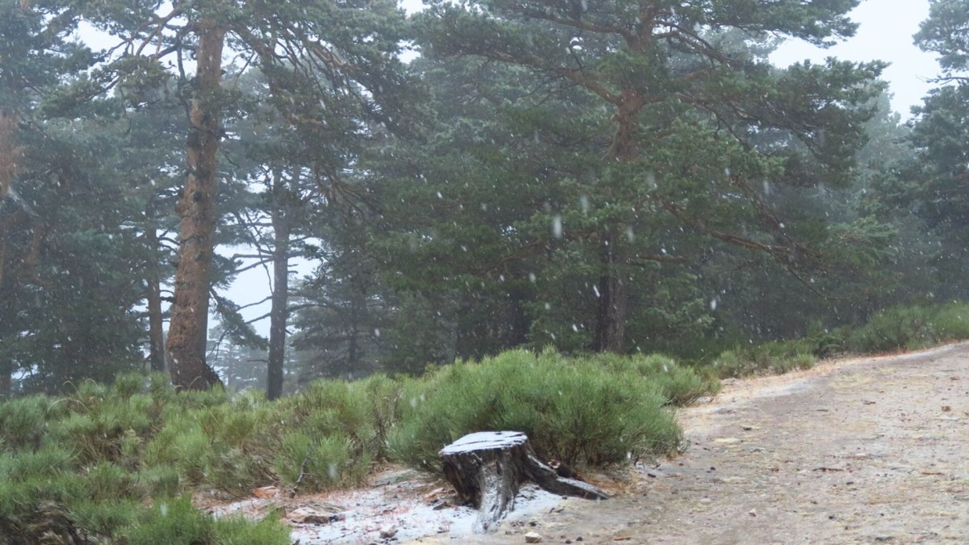 Nieve en septiembre en Navacerrada