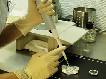 Inseminación artificial Inseminación artificial