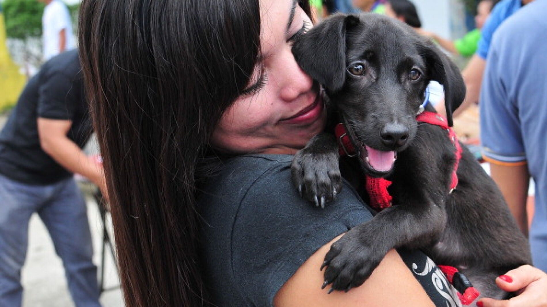 Un perro junto a su due&ntilde;a
