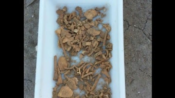 Los restos del esqueleto encontrado