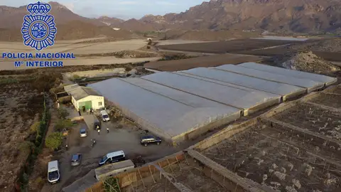 Plantación de marihuana, Lorca Plantación de marihuana, Lorca