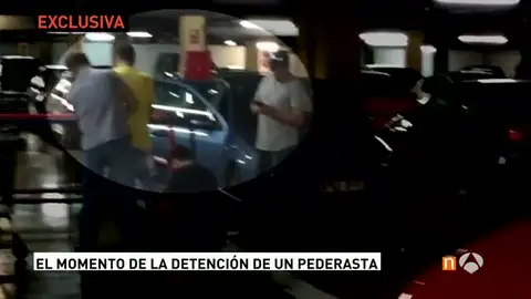 Frame 7.688508 de: pederas Frame 7.688508 de: pederas