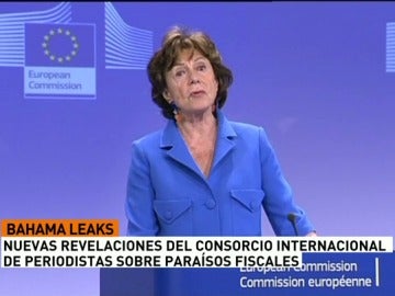 Neelie Krus en la comisión europea