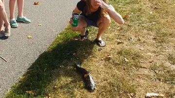 Un pez gato golpea en la cara a una joven que se encontraba de camino al gimnasio Un pez gato golpea en la cara a una joven que se encontraba de camino al gimnasio