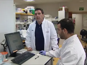 Frame 50.182661 de: Buscando fármacos contra las metástasis Frame 50.182661 de: Buscando fármacos contra las metástasis