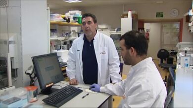 Más de 50.000 moléculas para hacer frente a las células cancerígenas 