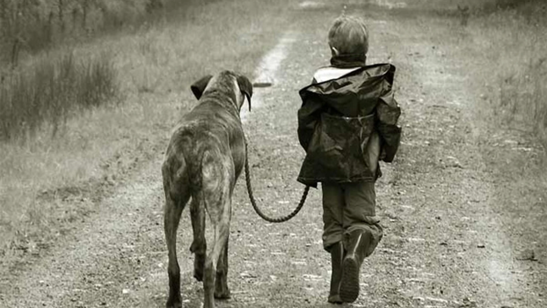 Niño paseando por un perro Niño paseando por un perro