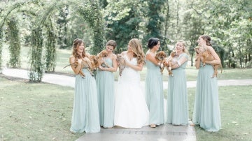 La novia y las 'damas de honor' con los cachorros