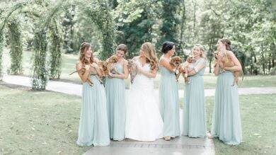 Una pareja cambia en el día de su boda los ramos de flores por cachorros de pit bull para adoptar