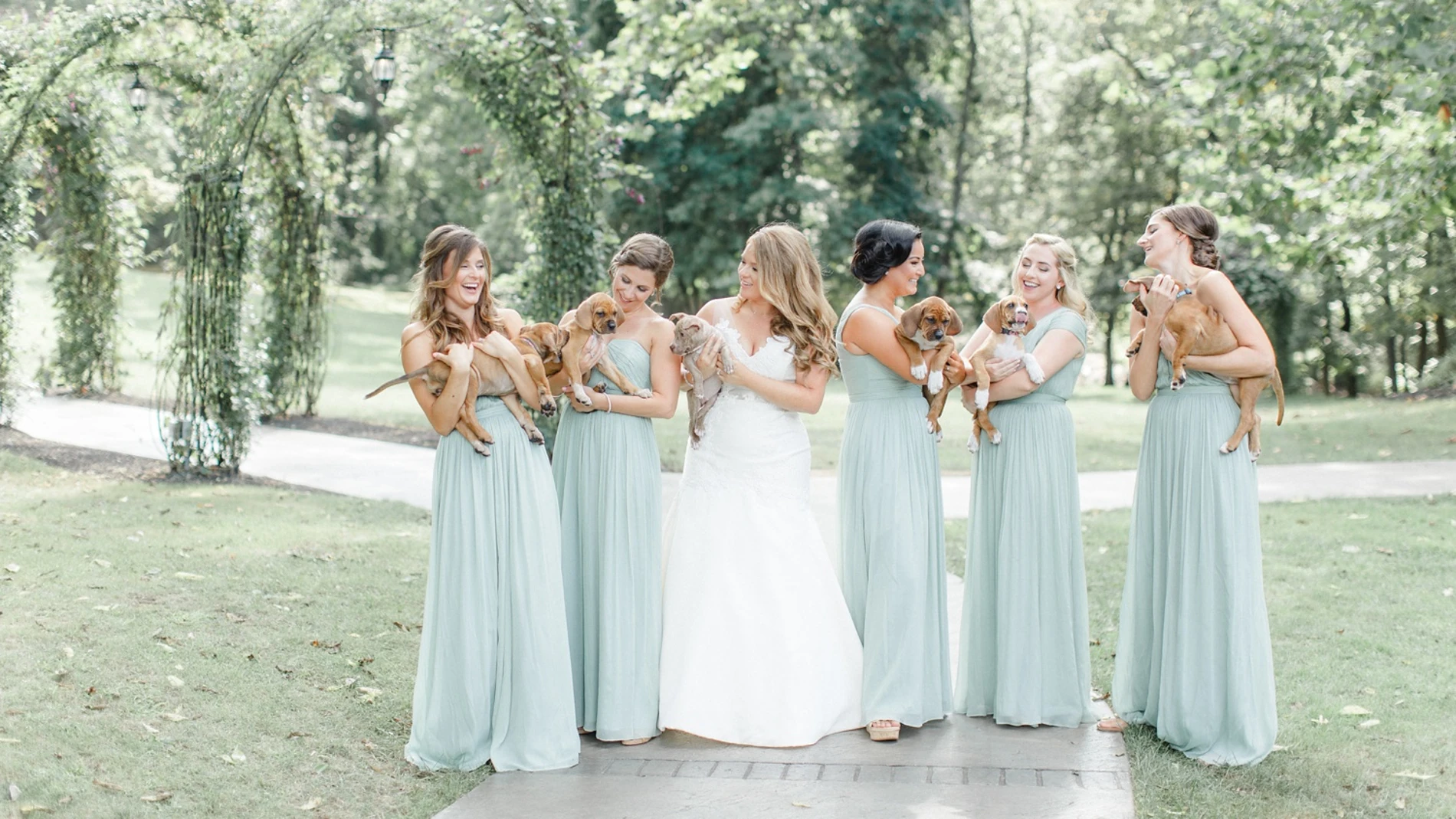 La novia y las 'damas de honor' con los cachorros La novia y las 'damas de honor' con los cachorros