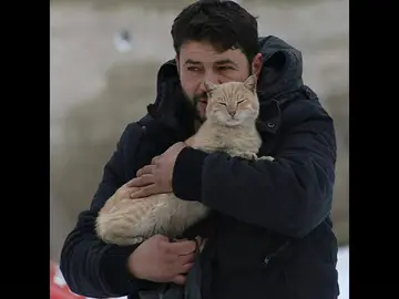 Mohammad Alaa Aljaleel junto a un gato Mohammad Alaa Aljaleel junto a un gato