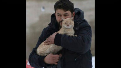 La historia del hombre que se niega abandonar a los gatos en Alepo