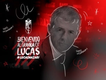 Lucas Alcaraz, nuevo técnico del Granada