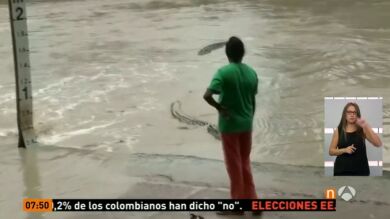 La increíble reacción de una mujer cuando un cocodrilo se acerca a ella