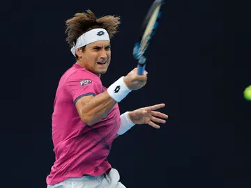 David Ferrer golpea la bola durante su partido David Ferrer golpea la bola durante su partido