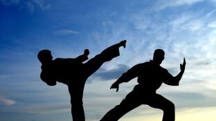 karate