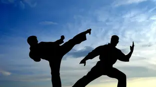 karate karate