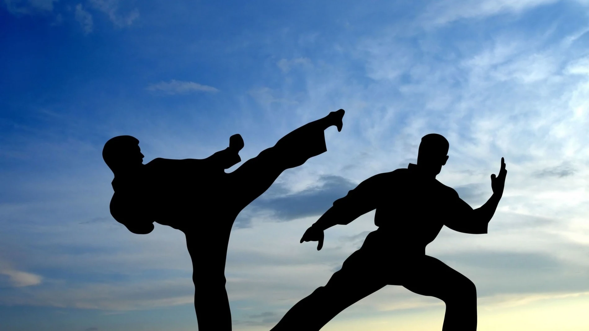 karate karate