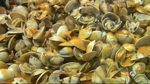 Frame 74.061434 de: mariscoogrove