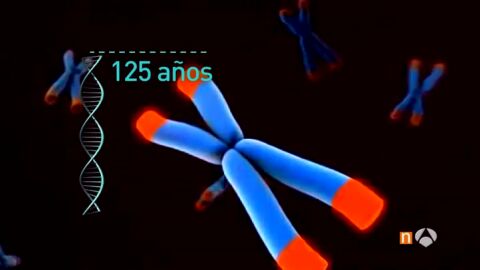 Frame 50.213236 de: longevidad