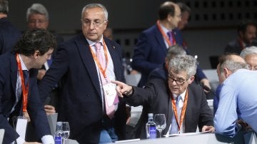 Ángel María Villar, durante la Asamblea General Extraordinaria de la RFEF