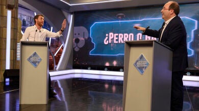 Miquel Iceta debate con Pablo Motos sobre si es mejor tener gato o perro en casa