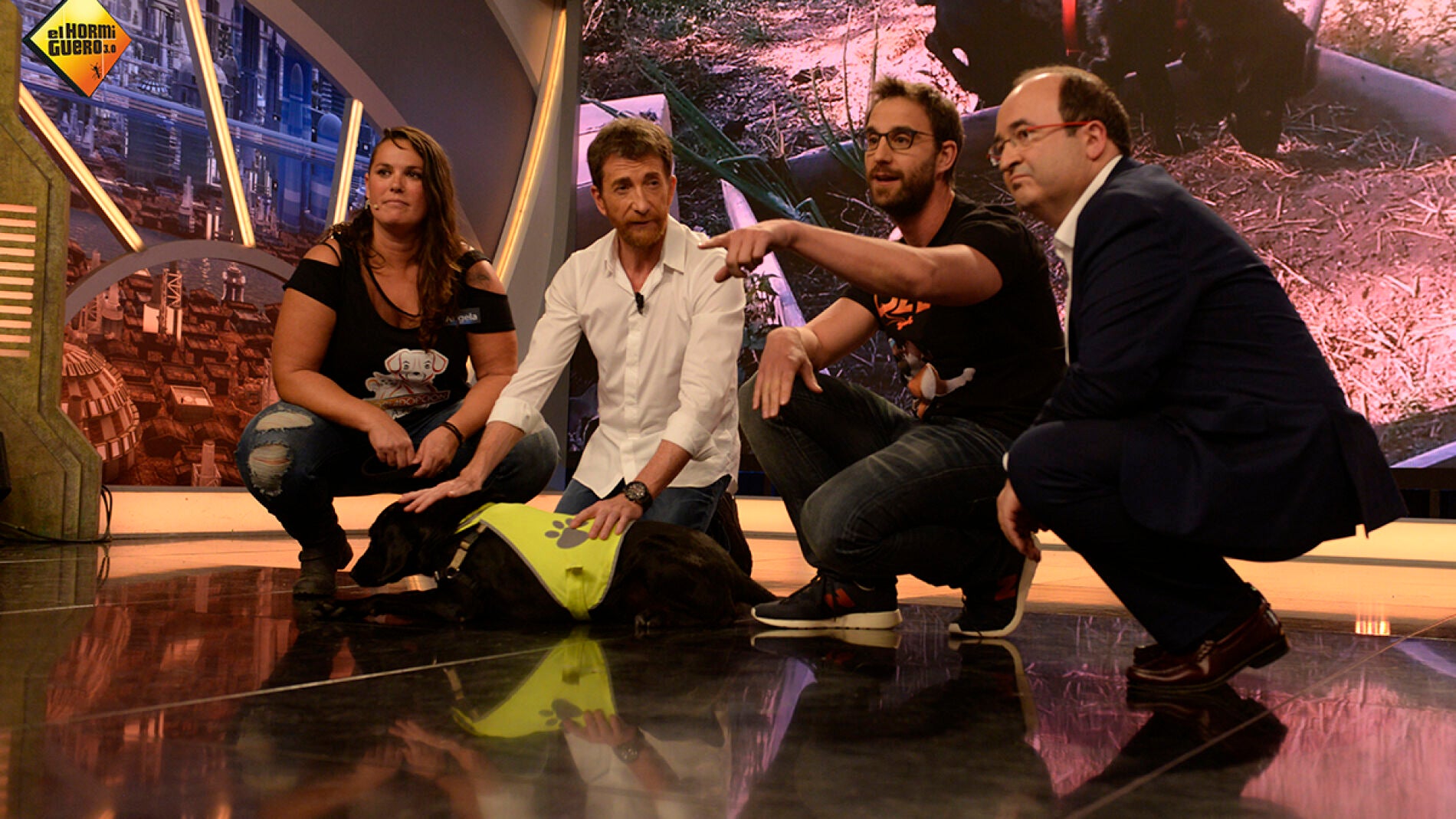 Miquel Iceta en los amores perros de Dani Rovira