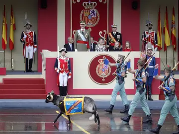 'Miura', la cabra de la legión 'Miura', la cabra de la legión