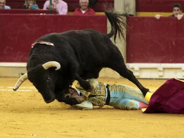 Cogida Juan José Padilla Cogida Juan José Padilla