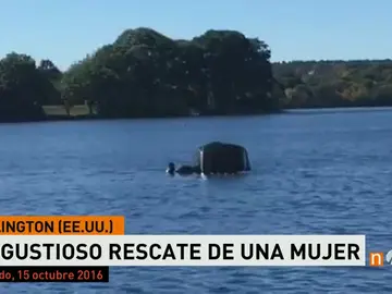 Frame 15.690049 de: rescateeeuu Frame 15.690049 de: rescateeeuu