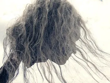 The Walking Dead The Walking Dead