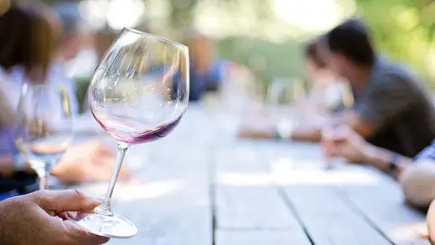 Cata Vino Cata Vino
