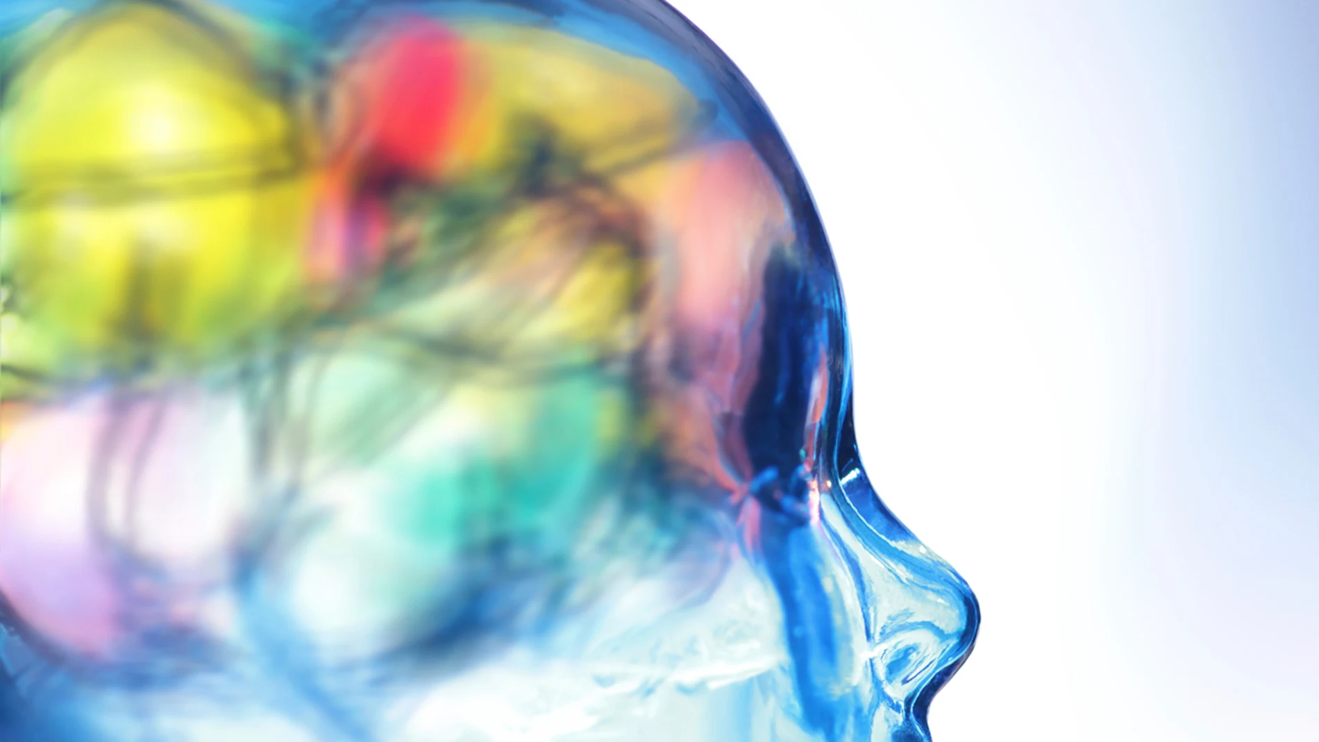 ¿Cómo funciona el cerebro humano? ¿Cómo funciona el cerebro humano?