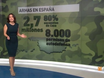 Frame 40.675708 de: Las diez cifras imprescindibles de la situación de las armas en España
