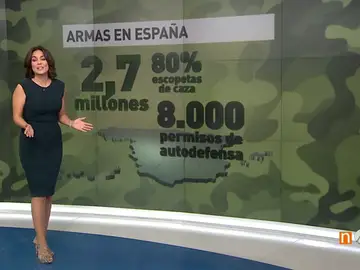 Frame 40.675708 de: Las diez cifras imprescindibles de la situación de las armas en España Frame 40.675708 de: Las diez cifras imprescindibles de la situación de las armas en España