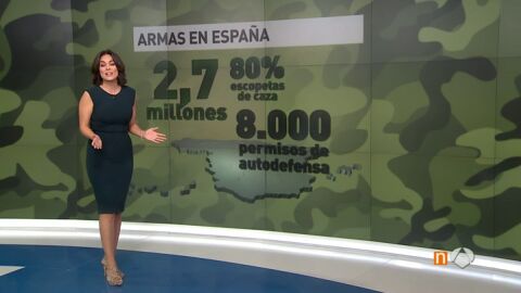Frame 40.675708 de: Las diez cifras imprescindibles de la situaci&oacute;n de las armas en Espa&ntilde;a