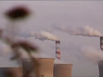 Frame 25.955099 de: Preocupación por las consecuencias para el cambio climático Frame 25.955099 de: Preocupación por las consecuencias para el cambio climático