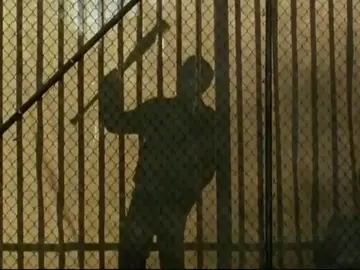 Frame 1.63341 de: Ezekiel y su tigresa Shiva llegan a 'The Walking Dead' Frame 1.63341 de: Ezekiel y su tigresa Shiva llegan a 'The Walking Dead'