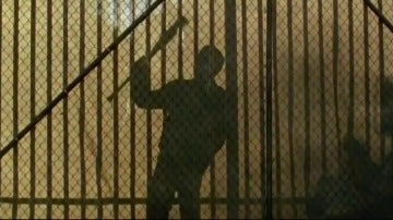 Frame 1.63341 de: Ezekiel y su tigresa Shiva llegan a 'The Walking Dead'