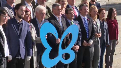 Frame 0.94327 de: Los diputados "se ponen alas" para apoyar a los afectados de piel de mariposa