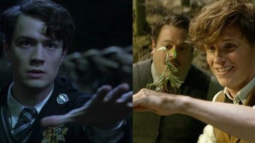 Tom Riddle y Newt Scamander