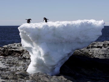 las condiciones del mar y el lecho de roca debajo de un glaciar pueden influir en la masa congelada